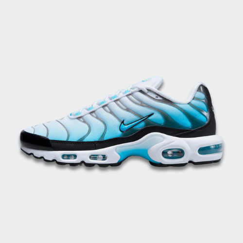 Air Max Plus Baltic Blue