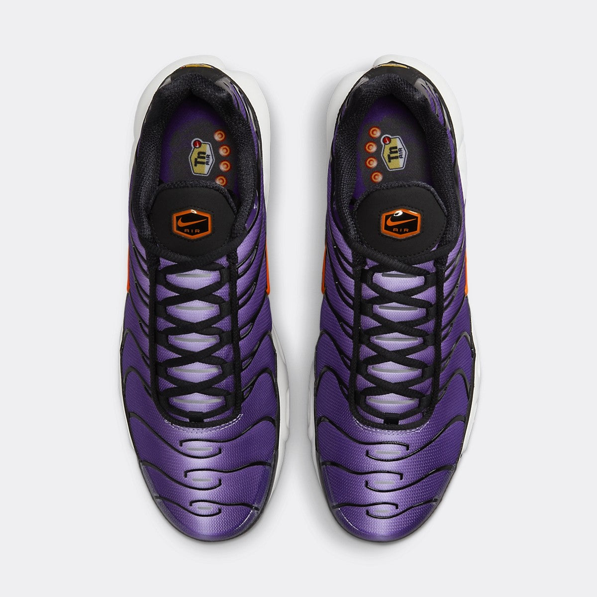 N°KE TN plus Purple