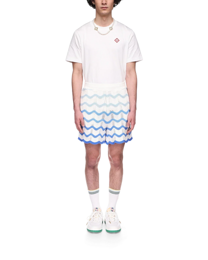 Wavy Gradient Crochet Shorts - CASABL°NCA